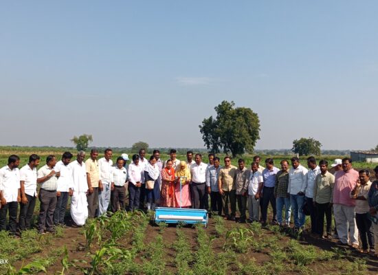 Demonstration Solar Nipping Machine 2025